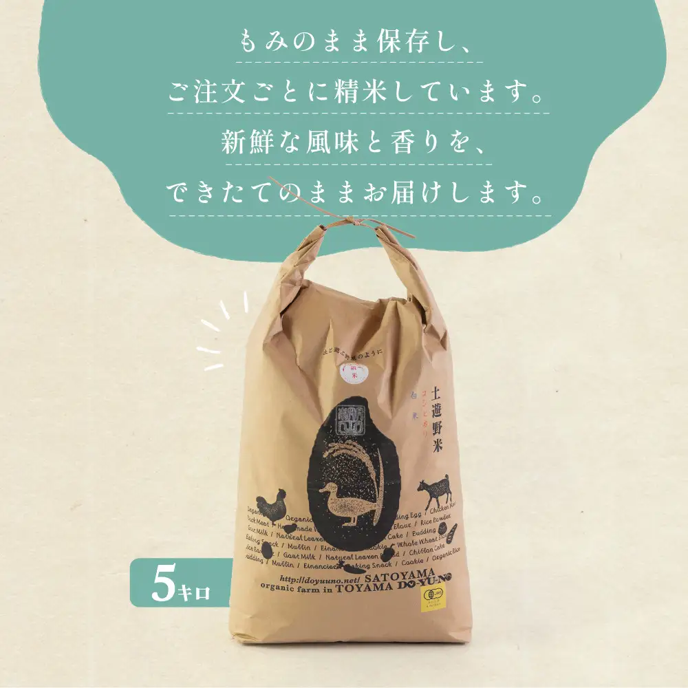 有機米 コシヒカリ 5kg　棚田-tanata-（有機JAS認証米） 米 白米 精米