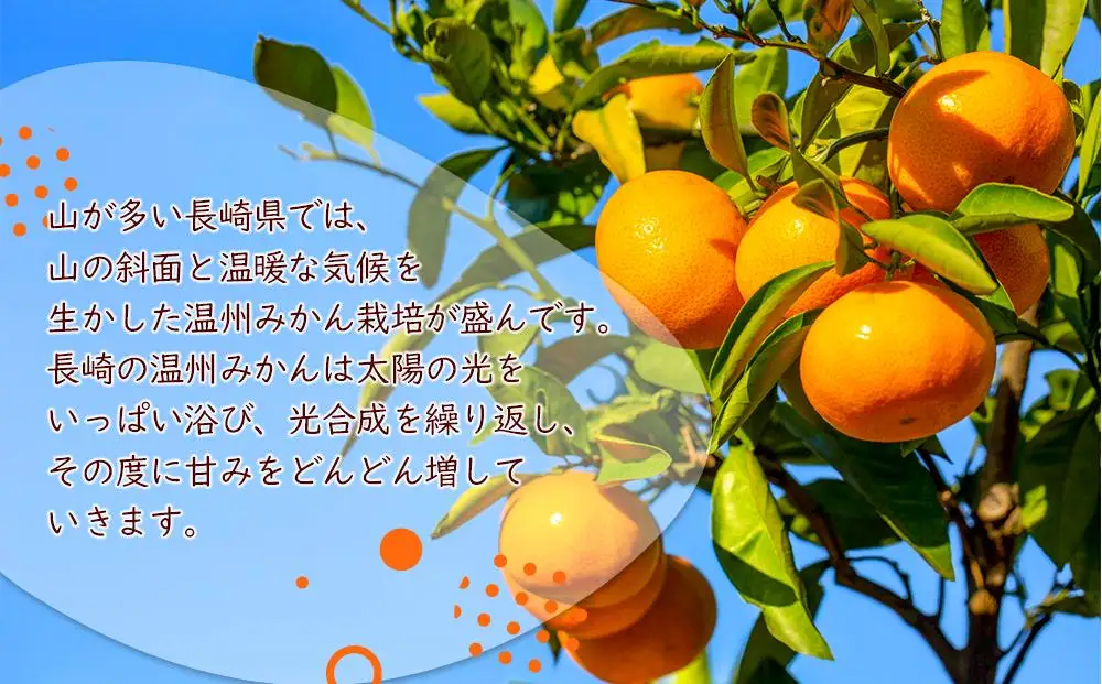 みかんジュース 100％ 200ml×36本 計7.2L ストレートみかん 長崎＜長崎県産みかん果汁100％＞