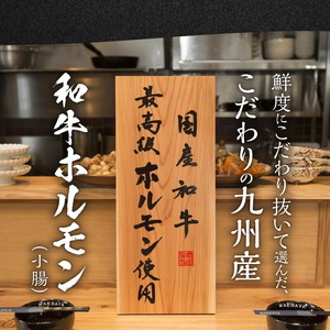 博多もつ鍋前田屋　もつ鍋セット　みそ味2～3人前_KLM0104