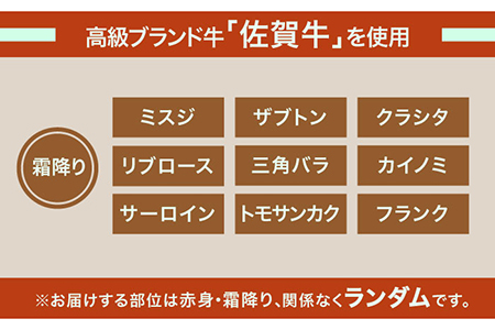 【全3回定期便】1ヶ月に1度の佐賀牛ひとり贅沢コース ステーキ/焼肉/スライス 牛肉 希少 赤身 カルビ ヒレ サーロイン モモ 切り落とし[FAY065]