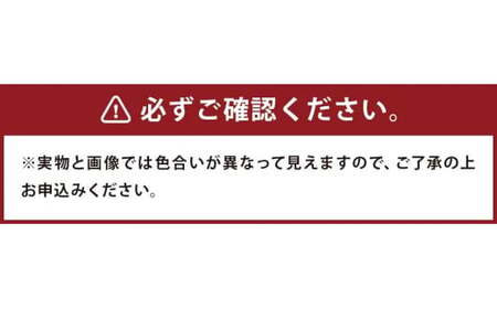 段ボールハウス （組み立て式）子ども用 【青色】
