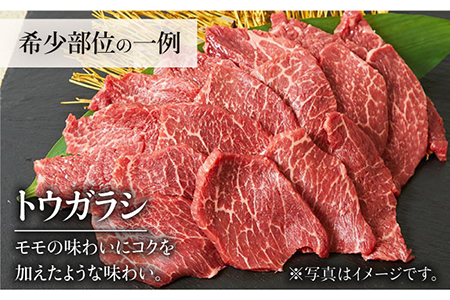 【全3回定期便】佐賀牛希少部位?ひとり贅沢焼肉コース? ランプ/クリ/トウガラシ/ザブトン/カイノミなど【ミートフーズ華松】 ブランド 高級 和牛 霜降り BBQ やわらか 冷凍 料理  精肉 牛肉 希少 赤身 イチボ ランプ ミスジ [FAY071]