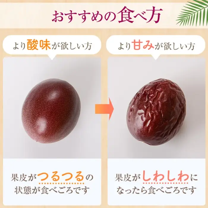 【A52003】＜先行予約受付中！2026年6月下旬より準備が整い次第順次発送＞《数量限定》前村さんちのパッションフルーツ(約2.2kg・12玉入り2箱)フルーツ 果物 果実 鹿児島 国産 ビタミン 産地直送 ギフト プレゼント【前村果樹園】
