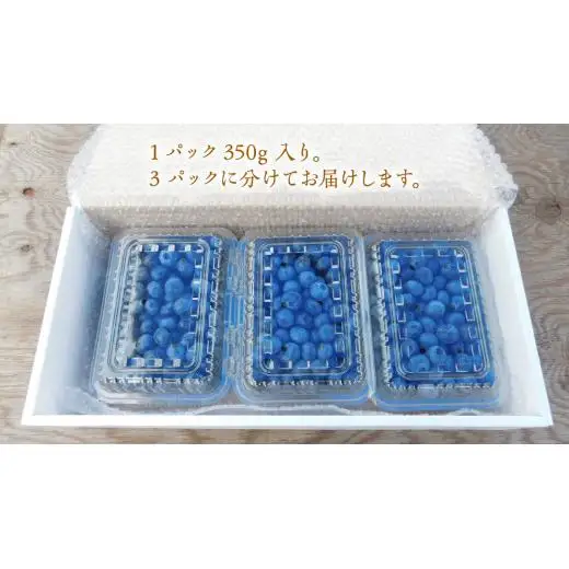 ≪先行予約≫  朝採れ 完熟 ブルーベリー 1,050g （ 350g × 3パック ）【 2026年 6月上旬頃より発送開始 】