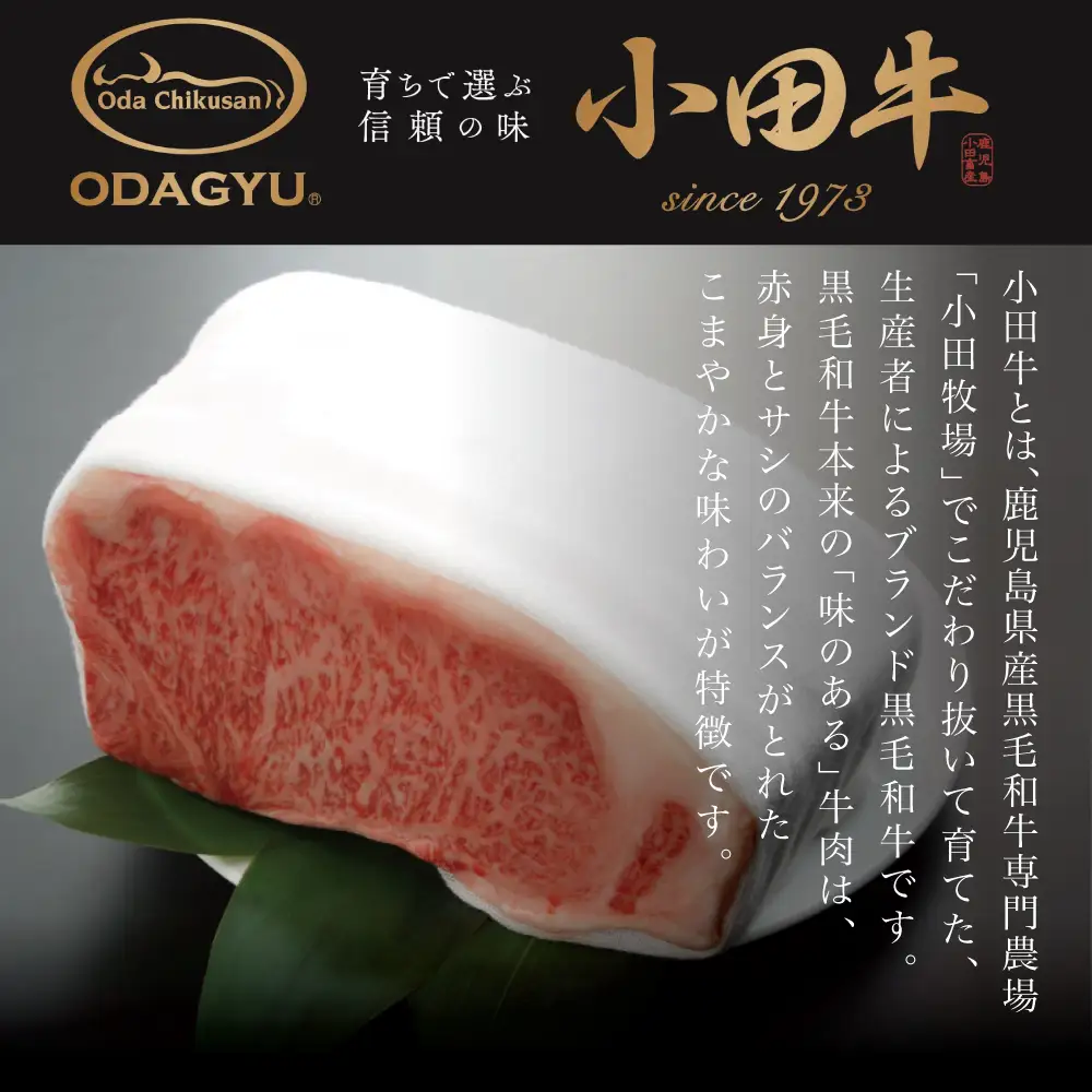 【プレミアムブランド】鹿児島県産黒毛和牛「小田牛」 牛肉100%点心セット（餃子・焼売） 総菜 餃子 ぎょうざ ギョーザ 焼売 シュウマイ 黒毛和牛 小田畜産 冷凍 南さつま市