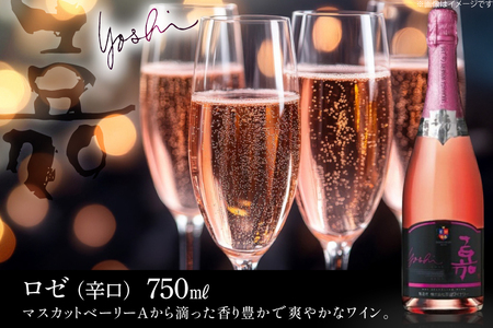 スパークリング 嘉 スパークリングワイン 白 ロゼ 各750ml 計2本 [高畠ワイナリー 山形県 高畠町 tk06ays730082]