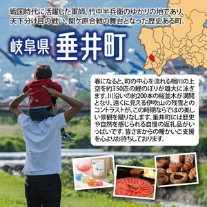 水車の石臼で挽いたそば粉 約500g｜そば そば粉 岐阜県 垂井町 水車挽き 石臼挽き そば打ち ガレット 地産 おうち時間 趣味