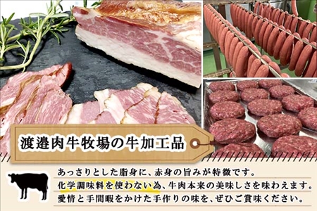 北海道 ビーフハンバーグ ステーキ 150g×5個  卵不使用 手ごね beef 牛肉 赤身肉 国産牛 肉 ビーフ セット 加工品 おかず 惣菜 お惣菜 おつまみ 国産 冷凍 詰合せ お取り寄せ 送料無料 十勝 士幌町【W02】