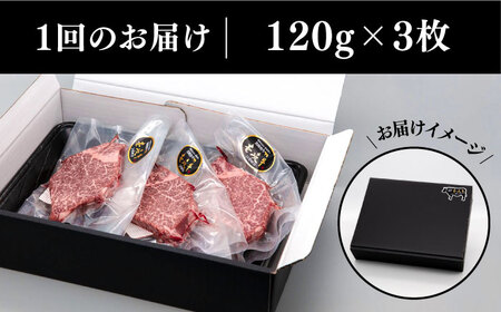 【全2回定期便】A4ランク以上 壱岐牛 ヒレステーキ 120g × 3枚 [JAA011] ヒレステーキ ヘレ フィレ 厚切り 赤身 希少部位 お肉 黒毛和牛 82000 82000円