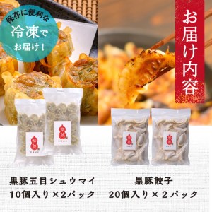 【訳あり】鹿児島県志布志市産黒豚使用 シュウマイ＆訳あり餃子 計60個(シュウマイ 10個×2パック・餃子  20個×2パック) a3-181