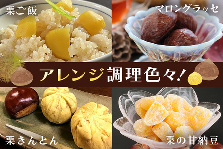 アカツファームの生栗 特大 3Lサイズ 1kg 栗 笠間 栗 くり 生栗 大きい