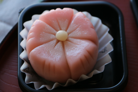 【定期便】和菓子 上生菓子 四季の定期便【上生菓子 上生菓子 上生菓子 上生菓子 上生菓子】 Wyd-0024