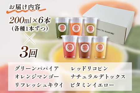 「定期便3か月コース」南国酵素スムージー　200ml×6本セット×3回　 野菜・果実ミックスジュース　青パパイア　果物　フルーツ　飲料　健康　栄養【D123】