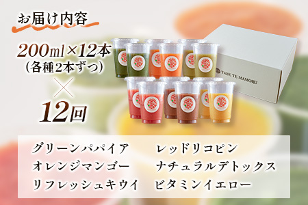「定期便12か月コース」南国酵素スムージー　200ml×12本セット×12回　 野菜・果実ミックスジュース　青パパイア　果物　フルーツ　飲料　健康　栄養【F110】