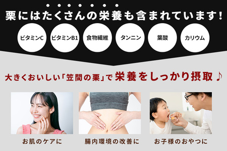 アカツファームの生栗 超特大 4Lサイズ 2kg GA-005