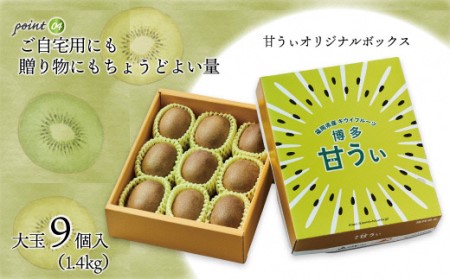 【2026年11～12月出荷】福岡県ブランドキウイフルーツ「博多甘うぃ」化粧箱大玉9玉約1.4kg[H2279]