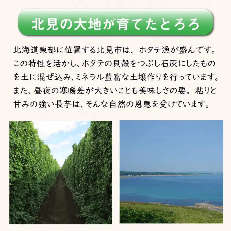 ところのとろろ2個・TOKOROBIANCA2本セット ( おつまみ 長芋 芋 とろろ )【121-0016】