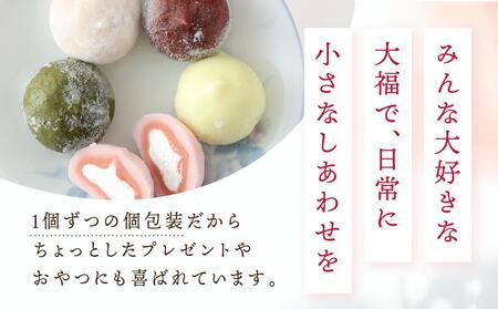 やわらかクリーム大福 5種28個 | 大福 訳あり 和菓子 スイーツ サカイ食品 GC001