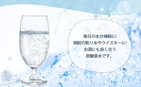 九州アルプス天然 すっぱやさしい『炭酸水ソーダ』245ml 24本 