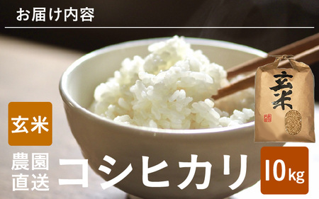 【先行予約】【令和8年産・新米】【玄米10kg×1袋】福井県産 コシヒカリ10kg 【2026年10月上旬以降順次発送】 [B-8918_02]