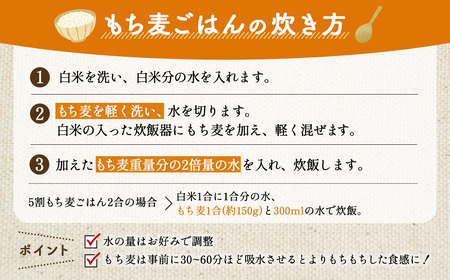 国産もち麦6kg《1kg×6個セット》雑穀 お米に混ぜて炊くだけ！便利なチャック付 小分けパック ダイエット 食物繊維  送料無料 No.029