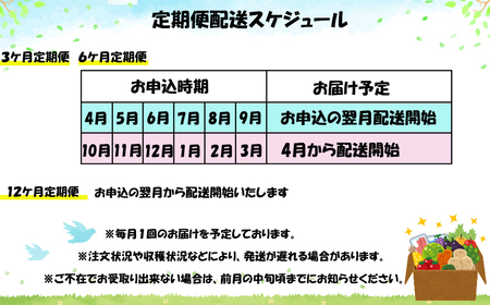  【定期便６ヶ月】イーハトーヴ野菜A お試しセット 6品～【294】