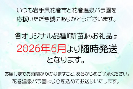 ＜予約受付＞2026年6月より発送　花巻温泉バラ園 オリジナル品種「オリンピアローズ2020」 新苗 【914】