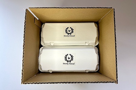 【北海道根室産】美波里のたまご10個入×6P(計60個) F-39001