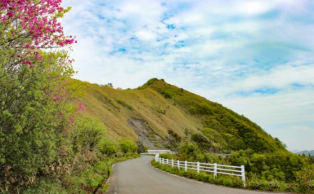 【4月中旬～11月上旬までの限定宿泊】山荘しらさ　ペア宿泊券
