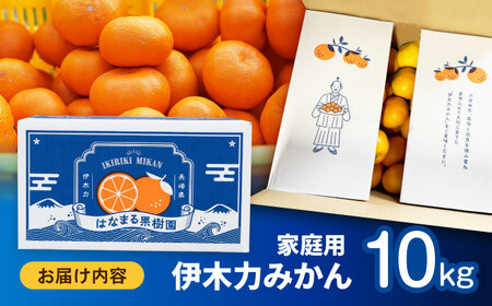 ※【2026年10月下旬より順次発送／先行予約】伊木力みかん(家庭用) 10kg / みかん ミカン 蜜柑 オレンジ フルーツ 果物 柑橘 / 諫早市 / 山野果樹園 [AHCF001]