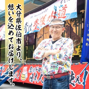 大将の今日のおすすめ！「旬の鮮魚りゅうきゅう10選と青物だし2個セット」詰め合わせ 魚 海鮮 簡単 りゅうきゅう 漬け丼 お茶漬け だし茶漬け 醤油 調味料 加工品 【GA001】【ポートラインサービス (有)】