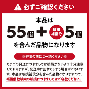JAむなかたよりお届け！宗像たまご60個（55個＋補償5個）【JAほたるの里】_HA0916