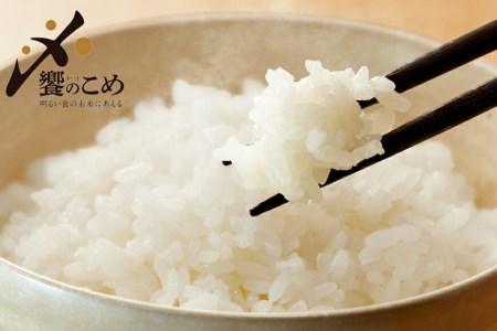 【期間限定発送】 米 令和7年 2kg ×4種 計 8kg 精米 食べ比べ [中橋商事 石川県 宝達志水町 38601091]