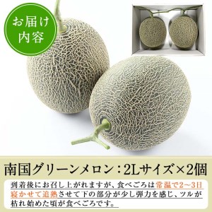 ＜先行予約受付中！2026年6月中旬以降順次発送予定＞数量限定！鹿児島県産南国グリーンメロン(2Lサイズ×2個) メロン フルーツ 果物 鹿児島 国産 青肉 ハウス ハウス栽培 期間限定 2L【東新グリーンファーム合同会社】akn062-08