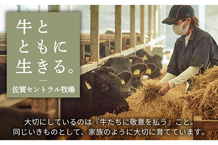 手ごねハンバーグ 4個＆しろいし牛 焼肉用 盛り合わせ 420g / ハンバーグ 牛肉 [IAH110]