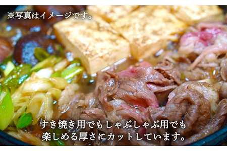 手ごねハンバーグ 4個＆しろいし牛 すきしゃぶ用スライス（ロース） 600g / ハンバーグ 牛肉 [IAH118]