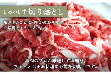 ロールステーキ 4個＆白富牛 手ごねハンバーグ 4個＆しろいし牛 切り落とし 500g×2パック / 牛肉  [IAH129]