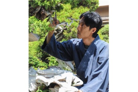 ふるさと納税限定 園主 秋山実と選ぶ 盆栽購入チケット 30,000円分 [秋山園 山梨県 韮崎市 20740911]