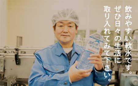 水　 富士山麓 四季の水 500ml 24本入×2ケース 計48本 富士山の天然水を使用 / ミネラルウォーター 水 お水 天然水 軟水 飲料 飲料水 ペットボトル 生活必需品 消耗品 備蓄 備蓄水 防災用品 防災 災害対策 非常用 人気【n0048_fpr】