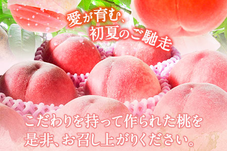 【2026年 先行予約】六月のはなよめ 約1.8～2kg 熊本県荒尾市産 桃 髙口果樹園 【日付指定不可】《2026年6月上旬-6月下旬頃出荷》六月の花嫁