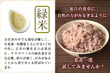  雑穀米 (赤米/黒米/緑米) ブレンド 熊本県荒尾市産 つゆくさ農園 《30日以内に出荷予定(土日祝除く)》 