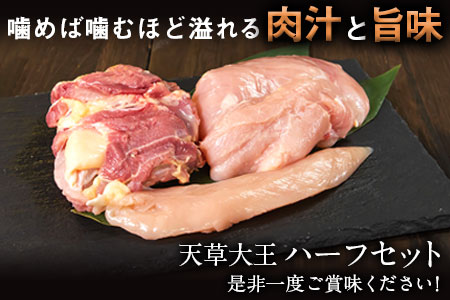 天草大王　ハーフセット 約750g【幻の地鶏】もも・むね・ささみ各1枚 熊本県産 荒尾市《60日以内に出荷予定(土日祝除く)》