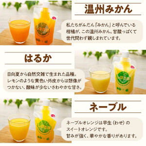 そのまんま100％柑橘ジュース詰合せ10本セット