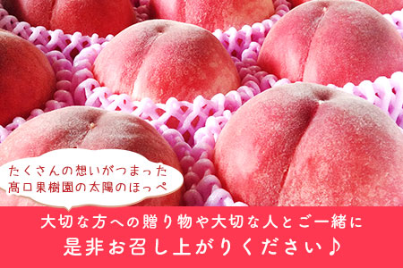 【2026年 先行予約】 桃 季節のおすすめ 約1.8kg～2kg もも フルーツ 果物 白桃 あかつき なつおとめ まどか 瑞鳳 なつっこ 川中島白桃 熊本県荒尾市産 桃 髙口果樹園《2026年7月上旬-8月末頃出荷》