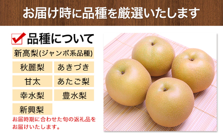 梨 荒尾梨 約4kg 旬の品種 熊本県産 なし 幸水梨 豊水梨 あきづき 新高梨 甘太 新興梨 あたご梨 秋麗【着日指定不可】《2026年8月下旬‐11月中旬頃出荷》フルーツ 果物
