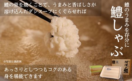 ハモしゃぶ セット 500g 小松島産 鱧 ハモ