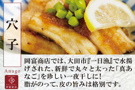 大ぶり「のどぐろ一夜干し」＆特大「穴子一夜干し」【干物セット のどぐろ干物 176～200g×3尾 穴子干物 50cm前後×3尾 のどぐろ ノドグロ 穴子 あなご アナゴ 干物 ひもの 無添加 真空パック 父の日 母の日】