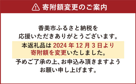 【6回定期便】高知のクラフトビール「TOSACO12本セット」
