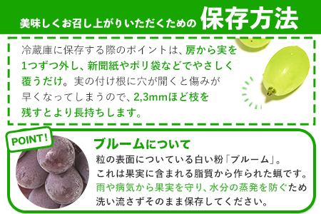 秀品 ピオーネ&シャインマスカット 約1.2kg