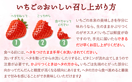 【先行予約】やかげのいちごギフトセット